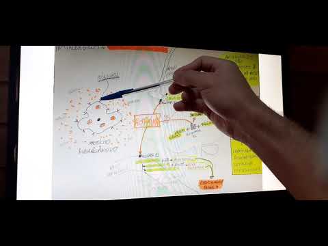 FARMACOLOGIA - AULA 6 - Parte 1