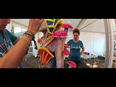 The WBF filmed by Giacomo Bertozzini