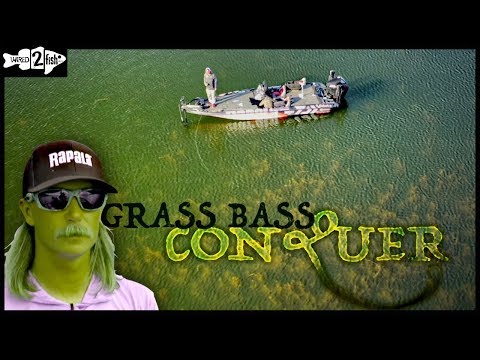 12 Tips to Master Bass Fishing Grass with Seth Feider