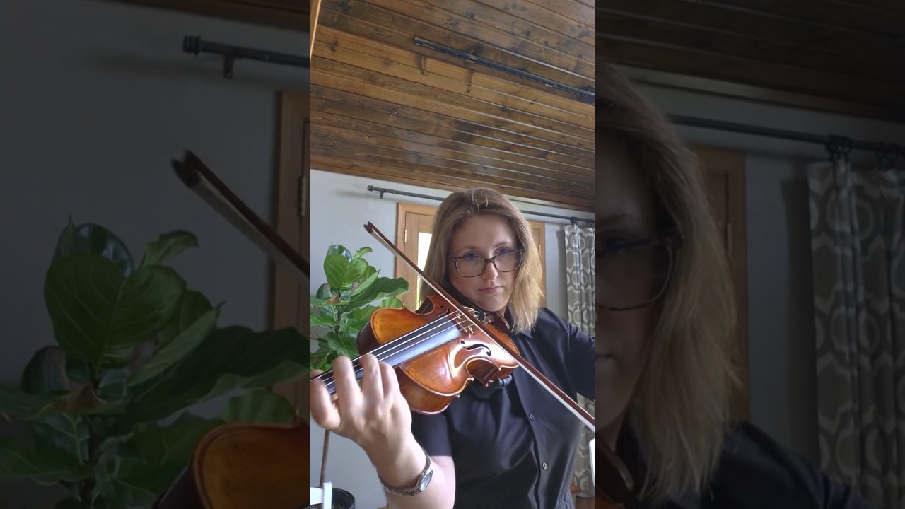 Promotional video thumbnail 2 for Moody Violin