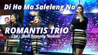 Download lagu TERBARU ROMANTIS TRIO DI HO MA SALELENG NA LIVE CHAMPION CAFE MEDAN mp3