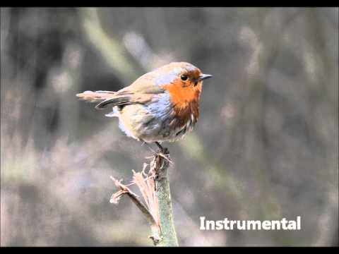 Unite - A song about Climate Change (Original)