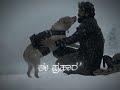 The Hymn Of Dharma Song Status Kannada 777 Charlie Rakshit Shetty Like Song Kannada