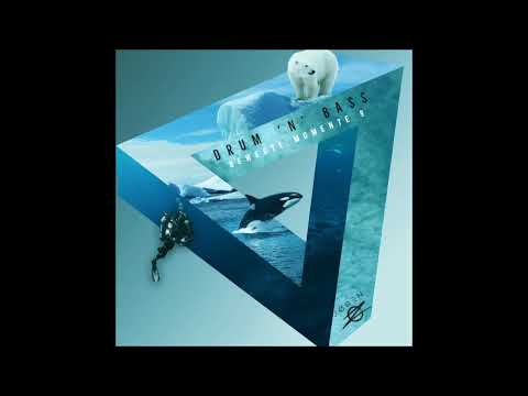 [Drum 'n' Bass]  Bewegte Momente 9 Mixed by JØREN OZ