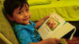 Cómo leer un libro con 2 años de edad Cómo leer un libro con 2 años de edad