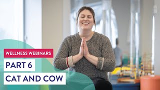 Yoga Part 6 - Cat and Cow