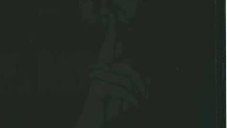 Daylight Dies - In The Silence