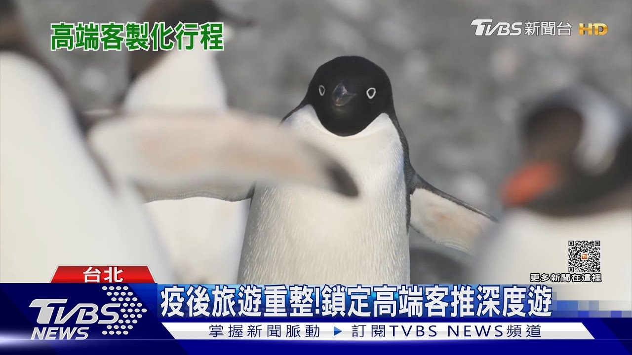 疫後旅遊新趨勢！　鎖定高端客推深度旅遊70萬赴南極