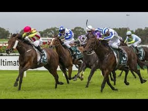 2017 ATC Vinery Stud Stakes