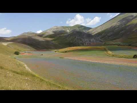 Piana di Castelluccio di Norcia fiorita