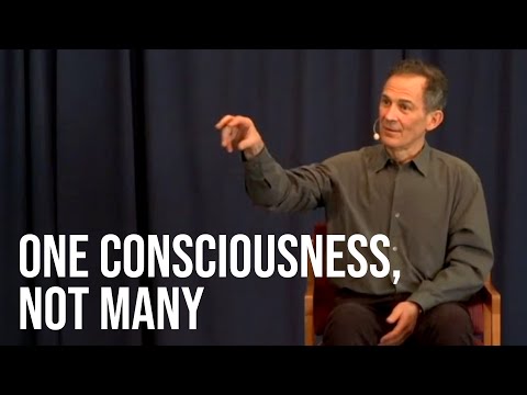 There Is Only One Universal Consciousness, Not Billions of Individuals