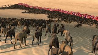 3000 Savage Dogs VS 480 Praetorian Guards - Total War ROME 2