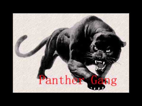 Beat Panther Attack