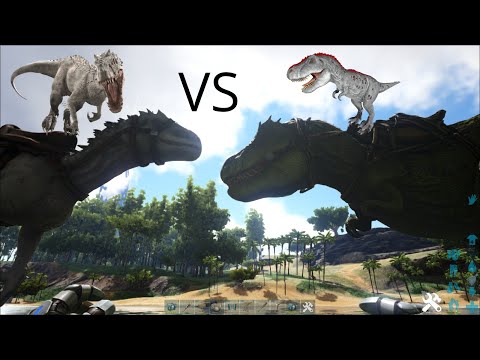 INDOMINUS VS REX
