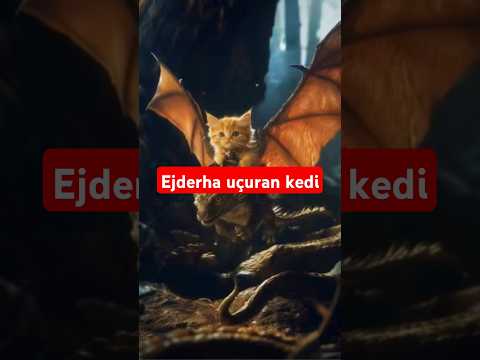 Ejderha #dragon #ejder #ejderha #kedi #cat #shorts #keşfet