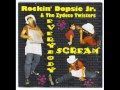 Rockin' Dopsie Jr  & The Zydeco Twisters - Sweet lil Lottie Mae