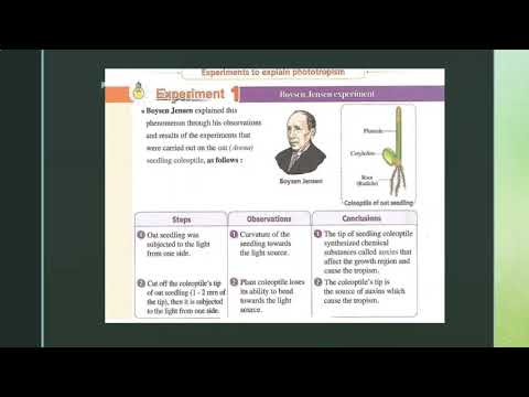 Video presentation: Sensetation in plants 