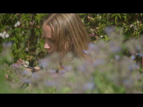 Joscelyn Wynter - Black Rose