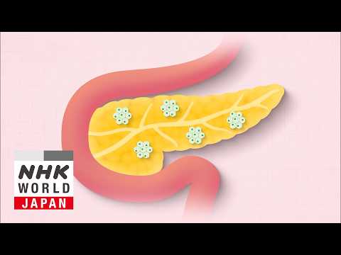 GLP-1 Drugs for Obesity: Benefits and Risks Explained