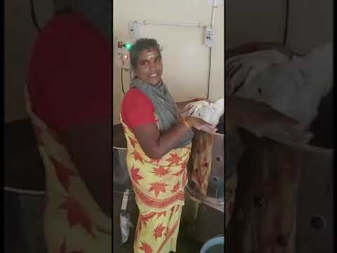 Chicken Killing Cone