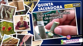 QUINTA SALVADORA 244ª EDIÇÃO | Qual a melhor técnica de enxertia