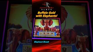 Buffalo Gold with Elephants! BIG WIN on Konami's Elephant Break #shinobislots #shorts #shortfeed