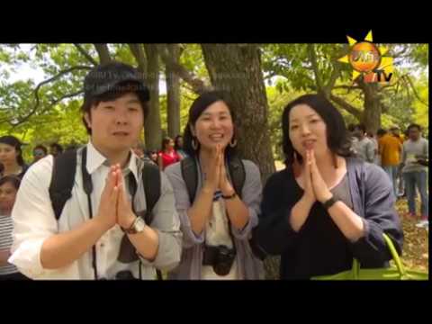 Hiru TV