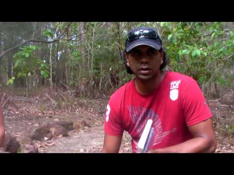 download lagu mp3 mp4 Mappa Tree, download lagu Mappa Tree gratis, unduh video klip Mappa Tree