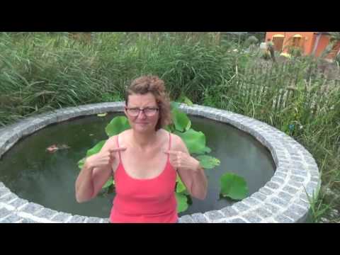 TCM   Lungenmeridian