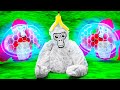 I Mastered Gorilla Tag