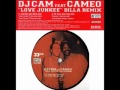 DJ Cam feat' Cameo - Love Junkee