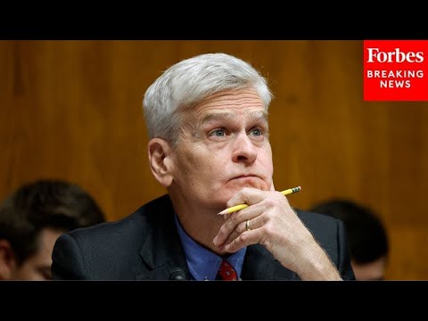 Bill Cassidy Leads Senate Health Committee Hearing On Chemical Abortion Drugs