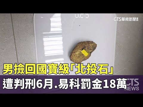 男撿回國寶級「北投石」　遭判刑6月.易科罰金18萬