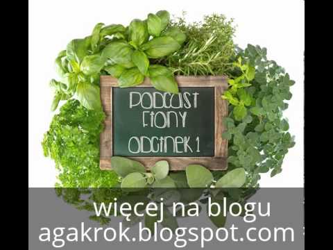Leki dla potencji dla mężczyzn młot Thora Orzechy laskowe dla potencji