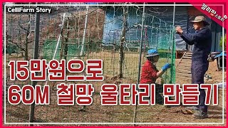 이 울타리로 닭을 지킬 수 있을까? 튼튼한 철망으로 교체하긴 했는데... #첼리팜스토리