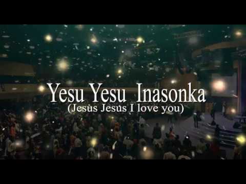 Thumbnail for Dogara video