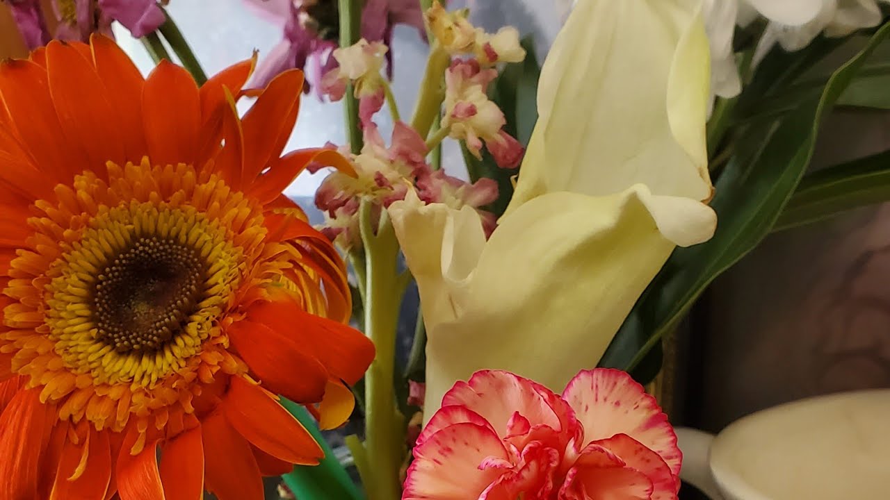 Do You Enjoy Your Profession | Happy New Week! #Silent #Live Sharing My Flowers | Made My Day