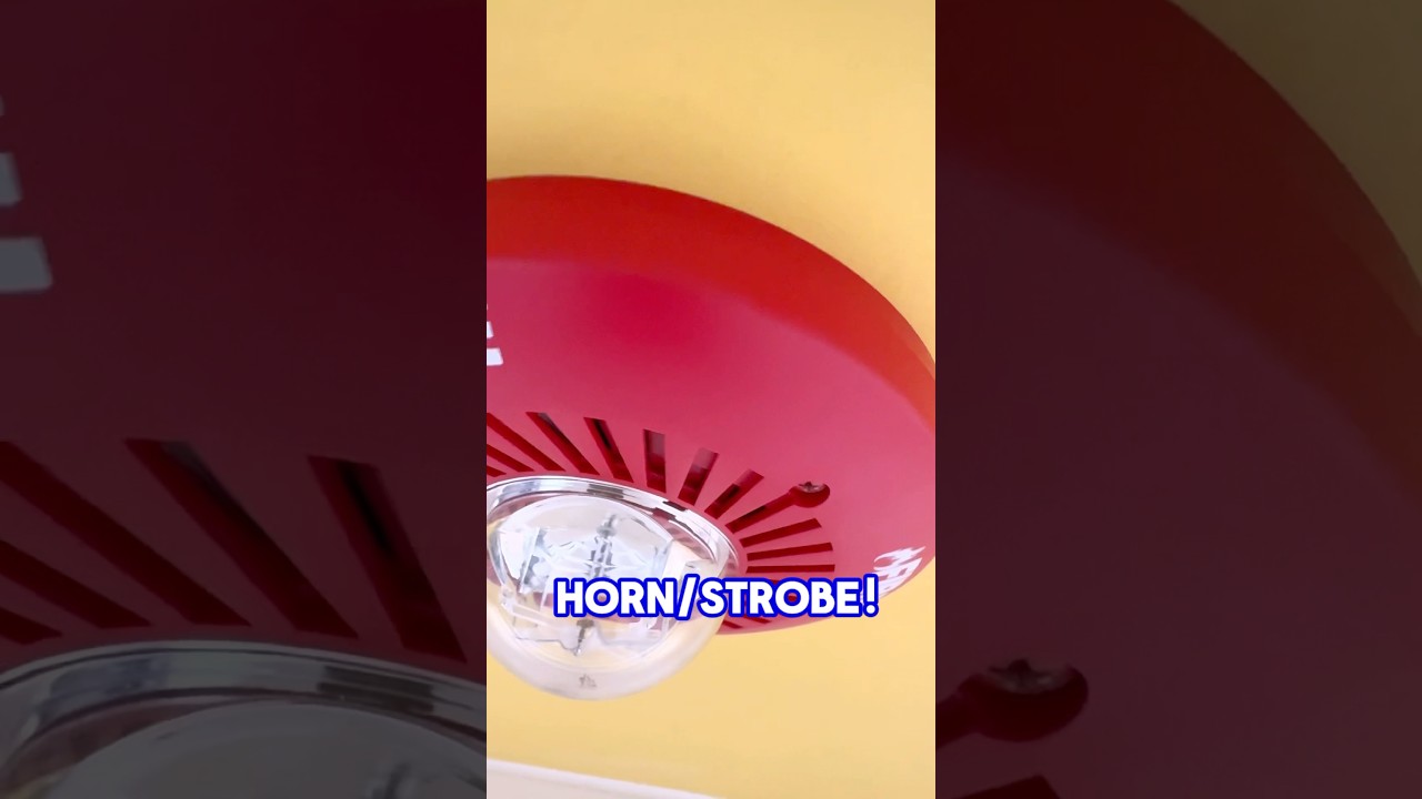 What This Red Ceiling Device REALLY Does!| SH24C Explained