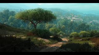 Download lagu The Witcher 3: Wild Hunt OST (Unreleased Tracks) - Outskirts of Novigrad - Long Version mp3 Download lagu The Witcher 3: Wild Hunt OST (Unreleased Tracks) - Outskirts of Novigrad - Long Version mp3