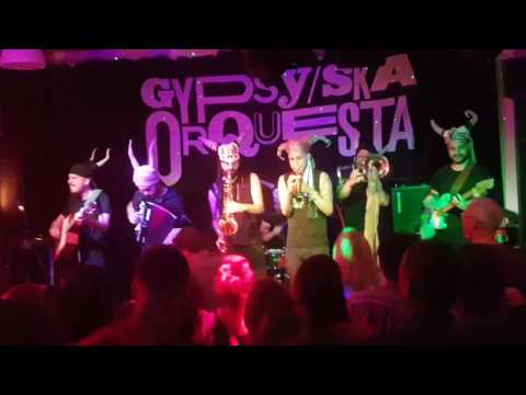 Gypsy Ska Orquesta live @ Kulturbrücken Jungbusch Mannheim