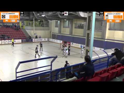 17ª JORNADA 1ª NACIONAL 2015 16 C P  IBERICA REICOMSA ALCOBENDAS vs MODOO C P  MIERES