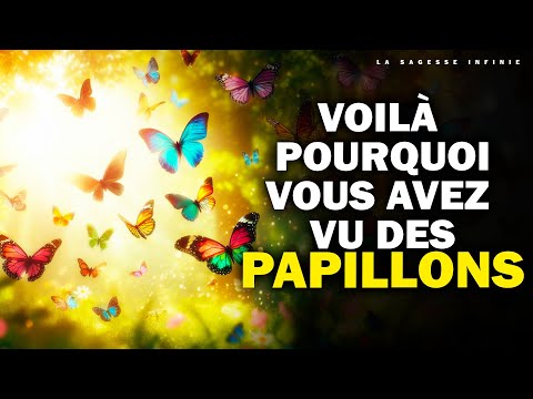 Voyez vous des PAPILLONS? Significations spirituelles de chaque Couleur