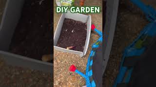 USE WHAT YOU HAVE !! DIY Garden #stayfocused #newgardener #diygardening #momlife #viral #hobbies
