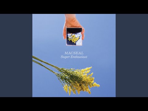 Nothing's a Sure Thing, Shelly