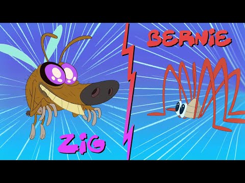 Zig & Sharko ⚡️ THE DUAL  (Season 1) Cartoon for kids