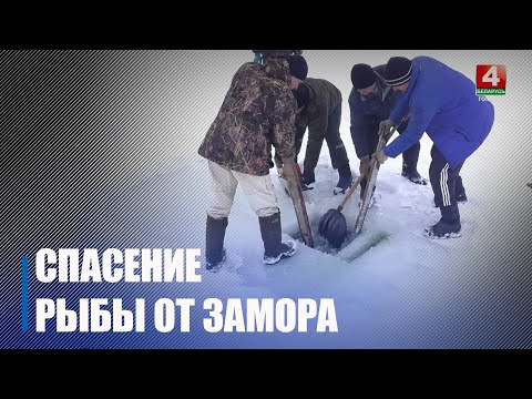 На Гомельщине проходит экологическая акция «Сделаем лунки – спасем рыбу от замора!» видео