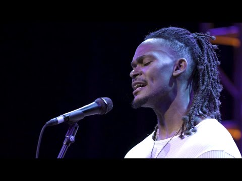 TINY HABITS: "Tiny Things" (Live)