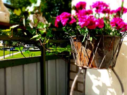 Gustaf Fröding - Idealism och realism - Håkan Tallgren