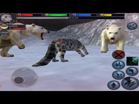 Ultimate Snow leopard Family Survival Simulator, Ultimate Arctic Simulator, By Gluten Free Games - YouTube