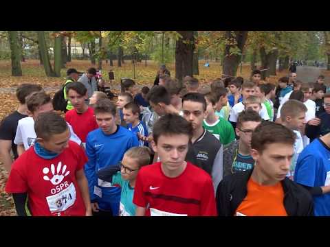 Kielce Biegają 2017 - Uczniowie gimnazjów 21.10.2017
